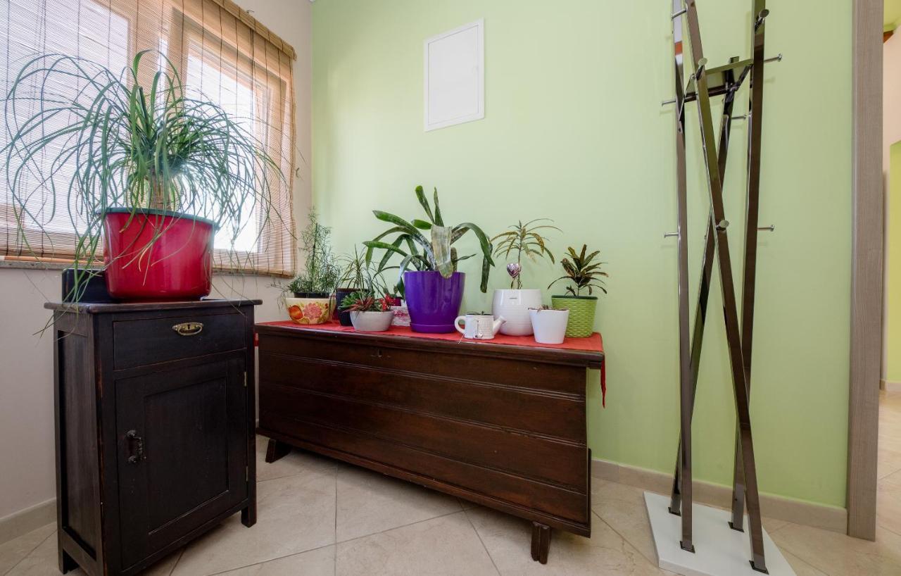 Apartments Luka ราบ ภายนอก รูปภาพ