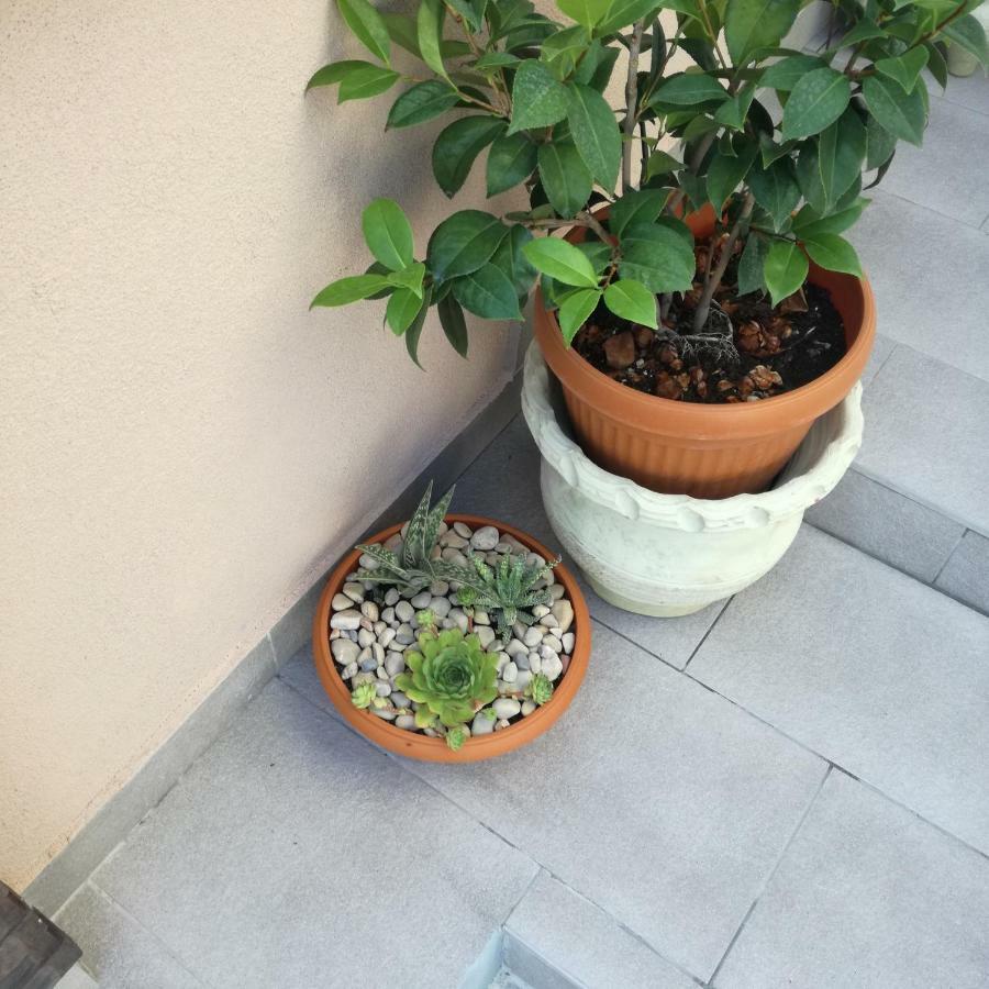 Apartments Luka ราบ ภายนอก รูปภาพ